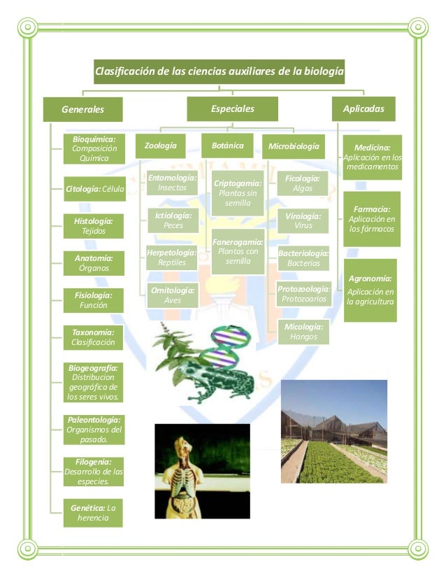 Diapositivas de las ciencias auxiliares de biología. kdt