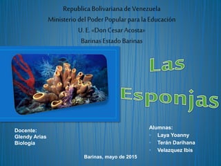 Docente:
Glendy Arias
Biología
Alumnas:
• Laya Yoanny
• Terán Darihana
• Velazquez Ibis
Barinas, mayo de 2015
 
