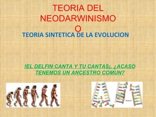 TEORIA DEL NEODARWINISMO O TEORIA SINTETICA DE LA EVOLUCION !EL DELFIN CANTA Y TU CANTAS¡, ¿ACASO TENEMOS UN ANCESTRO COMUN? 