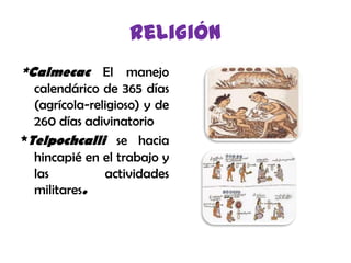 religión*Calmecac El manejo calendárico de 365 días (agrícola-religioso) y de 260 días adivinatorio*Telpochcallise hacia hincapié en el trabajo y las actividades militares.