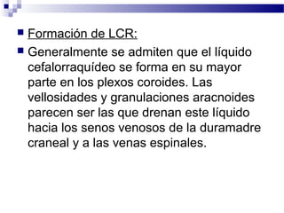 Diapositivas del cerebelo g. 6 a | PPT