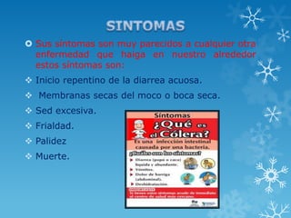  Sus síntomas son muy parecidos a cualquier otra
enfermedad que haiga en nuestro alrededor
estos síntomas son:
 Inicio repentino de la diarrea acuosa.
 Membranas secas del moco o boca seca.

 Sed excesiva.
 Frialdad.
 Palidez

 Muerte.

 