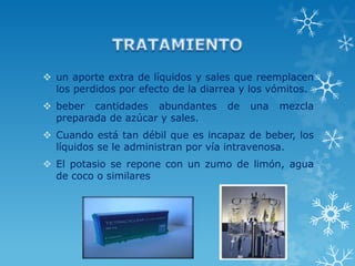  un aporte extra de líquidos y sales que reemplacen
los perdidos por efecto de la diarrea y los vómitos.
 beber cantidades abundantes
preparada de azúcar y sales.

de

una

mezcla

 Cuando está tan débil que es incapaz de beber, los
líquidos se le administran por vía intravenosa.
 El potasio se repone con un zumo de limón, agua
de coco o similares

 