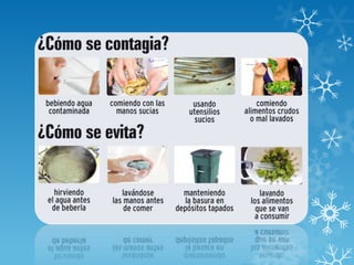 Diapositivas del colera(icc)