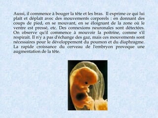 Aussi, il commence à bouger la tête et les bras. Il exprime ce qui lui
plaît et déplaît avec des mouvements corporels : en donnant des
coups de pied, en se mouvant, en se éloignant de la zone où le
ventre est pressé, etc. Des connexions neuronales sont détectées.
On observe qu'il commence à mouvoir la poitrine, comme s'il
respirait. Il n'y a pas d'échange des gaz, mais ces mouvements sont
nécessaires pour le développement du poumon et du diaphragme.
La rapide croissance du cerveau de l'embryon provoque une
augmentation de la tête.
 