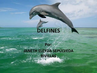 DELFINES
Por:
JANETH ELEYDA SEPÚLVEDA
RIVILLAS
 