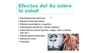 s
 Manifestaciones dérmicas
 Efectos cardiovasculares
 Efectos neurológicos y cognitivo
 Alteraciones genéticas y estrés oxidativo
 Desarrollo de cáncer (pulmón, vejiga, riñón, próstata,
piel, etc.)
 Efectos gastrointestinales
 Efectos en niños
 Toxicidad
Efectos del As sobre
la salud
 