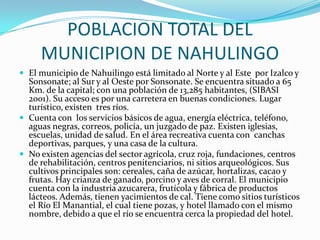 POBLACION TOTAL DEL
     MUNICIPION DE NAHULINGO
 El municipio de Nahuilingo está limitado al Norte y al Este por Izalco y
  Sonsonate; al Sur y al Oeste por Sonsonate. Se encuentra situado a 65
  Km. de la capital; con una población de 13,285 habitantes, (SIBASI
  2001). Su acceso es por una carretera en buenas condiciones. Lugar
  turístico, existen tres ríos.
 Cuenta con los servicios básicos de agua, energía eléctrica, teléfono,
  aguas negras, correos, policía, un juzgado de paz. Existen iglesias,
  escuelas, unidad de salud. En el área recreativa cuenta con canchas
  deportivas, parques, y una casa de la cultura.
 No existen agencias del sector agrícola, cruz roja, fundaciones, centros
  de rehabilitación, centros penitenciarios, ni sitios arqueológicos. Sus
  cultivos principales son: cereales, caña de azúcar, hortalizas, cacao y
  frutas. Hay crianza de ganado, porcino y aves de corral. El municipio
  cuenta con la industria azucarera, frutícola y fábrica de productos
  lácteos. Además, tienen yacimientos de cal. Tiene como sitios turísticos
  el Río El Manantial, el cual tiene pozas, y hotel llamado con el mismo
  nombre, debido a que el río se encuentra cerca la propiedad del hotel.
 