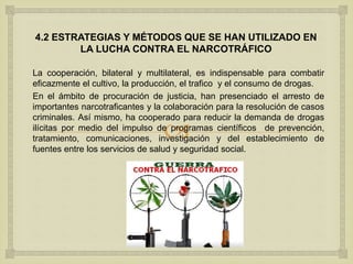 
4.2 ESTRATEGIAS Y MÉTODOS QUE SE HAN UTILIZADO EN
LA LUCHA CONTRA EL NARCOTRÁFICO
La cooperación, bilateral y multilateral, es indispensable para combatir
eficazmente el cultivo, la producción, el trafico y el consumo de drogas.
En el ámbito de procuración de justicia, han presenciado el arresto de
importantes narcotraficantes y la colaboración para la resolución de casos
criminales. Así mismo, ha cooperado para reducir la demanda de drogas
ilícitas por medio del impulso de programas científicos de prevención,
tratamiento, comunicaciones, investigación y del establecimiento de
fuentes entre los servicios de salud y seguridad social.
 