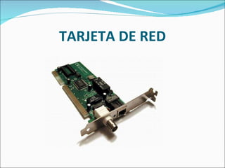 TARJETA DE RED 