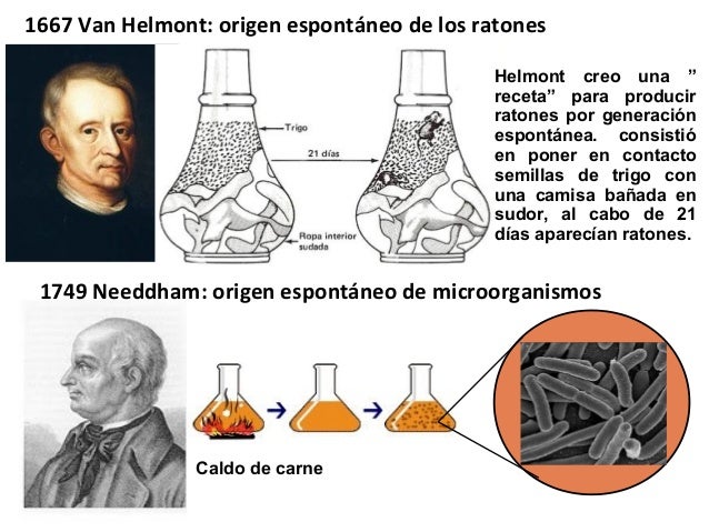 Descubre la Teoría de la Espontaneidad: ¿Qué es y cómo aplicarla en tu vida?_teorias Teoria de la espontaneidad_teorias