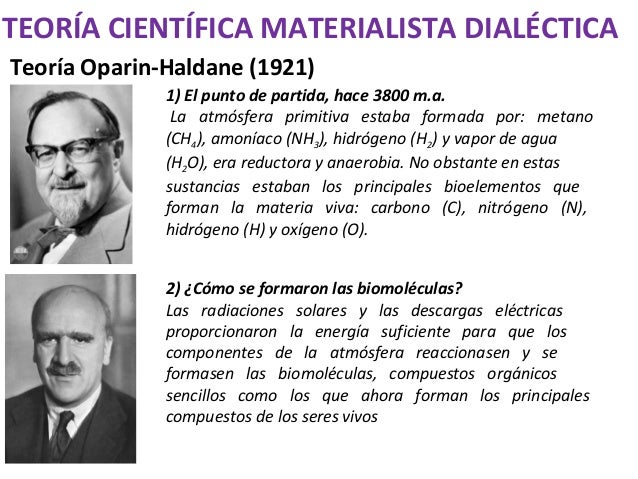 Teoria materialista del origen de la vida_teoria_online