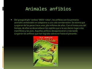 Animales anfibiosDel griego Anphi “ambos” BIOS “vidas”, los anfibios son los primeros animales vertebrados en adaptarse a una vida semiterrestre. Se estima que surgieron de los peces hace unos 360 millones de años. Con el transcurso del tiempo, de ellos se desarrollaron los reptiles que a la vez dieron lugar a los mamíferos y las aves. Aquellos anfibios desaparecieron y más tarde surgieron los anfibios que han logrado sobrevivir hasta el presente.