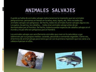 Animales SalvajesCuando se habla de animales salvajes todos tenemos la impresión que son animales peligrosísimos: pensamos en leones en la selva, osos, tigres, etc. Pero no todos los animales salvajes son peligrosos. De hecho, todos los animales fueron salvajes alguna vez. Los gatos, los perros, los caballos,... todos eran animales salvaje antes de ser domesticados por el hombre. De hecho, todavía quedan especies de caballos salvajes en el mundo y no por ello son peligrosos para el hombre.Los animales salvajes son sencillamente animales que viven en la naturaleza y que sobreviven por sus propios medios: cazando, pescando o comiendo vegetales. Cómo ves, el termino de animal salvaje poco tiene que ver con la primera impresión que nos viene a la cabeza al pensar en ellos.
