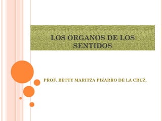 LOS ORGANOS DE LOS
       SENTIDOS



PROF. BETTY MARITZA PIZARRO DE LA CRUZ.
 