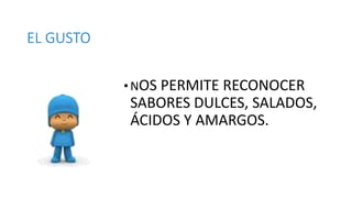 EL GUSTO 
•NOS PERMITE RECONOCER 
SABORES DULCES, SALADOS, 
ÁCIDOS Y AMARGOS. 
 