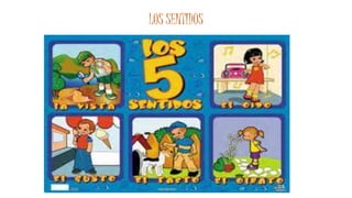 LOS SENTIDOS 
 