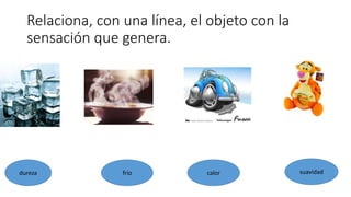 Relaciona, con una línea, el objeto con la 
sensación que genera. 
dureza frío calor suavidad 
 
