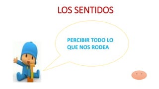 LOS SENTIDOS 
PERCIBIR TODO LO 
QUE NOS RODEA 
 