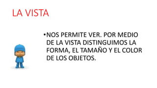LA VISTA 
•NOS PERMITE VER. POR MEDIO 
DE LA VISTA DISTINGUIMOS LA 
FORMA, EL TAMAÑO Y EL COLOR 
DE LOS OBJETOS. 
 