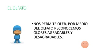 EL OLFATO 
•NOS PERMITE OLER. POR MEDIO 
DEL OLFATO RECONOCEMOS 
OLORES AGRADABLES Y 
DESAGRADABLES. 
 
