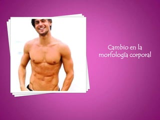 Cambio en la
morfología corporal
 