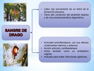 • Látex rojo proveniente de un árbol de la
Amazonía peruana.
• Tiene alto contenido del alcaloide taspina
y de una proantocianidina oligomérica .

• Actividad antiinflamatoria, con sus efectos
cicatrizantes internos y externos.
• Acción antiviral y antibacteriana
• Actúa también como un antiséptico
vaginal.
• Indicado para tratar infecciones gástricas.

 