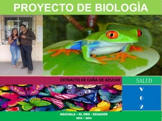 PROYECTO DE BIOLOGÌA

EXTRACTO DE CAÑA DE AZUCAR

SALUD
V

0
2
MACHALA – EL ORO - ECUADOR
2013 - 2014

 