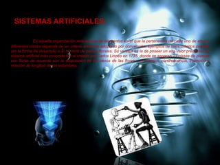 SISTEMAS ARTIFICIALES:
Es aquella organización relacionada de elementos en el que la pertenencia de cada uno de ellos a
diferentes clases depende de un criterio arbitrario adoptado por convención. Ejemplos de tales criterios pueden
ser la forma de desarrollo o el número de piezas florales. Su ventaja es la de poseer un alto valor predictivo. El
sistema artificial más conocido fue el creado por Carlos Linneo en 1735, donde se separan 23 clases de plantas
con flores de acuerdo con la disposición de los sexos de las flores y el número, concrescencia, inserción y
relación de longitud de los estambres.
 