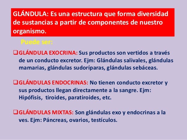 Diapositivas del sistema endocrino
