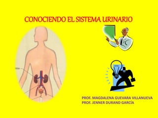 CONOCIENDO EL SISTEMA URINARIO
PROF. MAGDALENA GUEVARA VILLANUEVA
PROF. JENNER DURAND GARCÍA
 