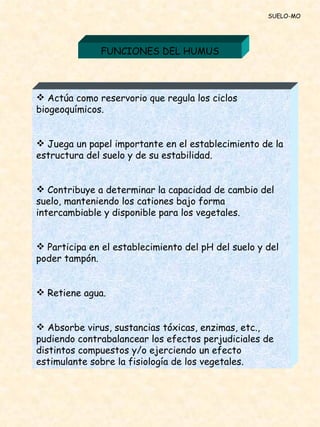 SUELO-MO FUNCIONES DEL HUMUS Actúa como reservorio que regula los ciclos biogeoquímicos. Juega un papel importante en el establecimiento de la estructura del suelo y de su estabilidad. Contribuye a determinar la capacidad de cambio del suelo, manteniendo los cationes bajo forma intercambiable y disponible para los vegetales. Participa en el establecimiento del pH del suelo y del poder tampón. Retiene agua. Absorbe virus, sustancias tóxicas, enzimas, etc., pudiendo contrabalancear los efectos perjudiciales de distintos compuestos y/o ejerciendo un efecto estimulante sobre la fisiología de los vegetales. 