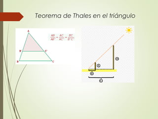 Teorema de Thales en el triángulo
 