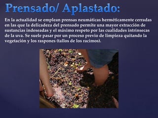 En la actualidad se emplean prensas neumáticas herméticamente cerradas 
en las que la delicadeza del prensado permite una mayor extracción de 
sustancias indeseadas y el máximo respeto por las cualidades intrínsecas 
de la uva. Se suele pasar por un proceso previo de limpieza quitando la 
vegetación y los raspones (tallos de los racimos). 
 