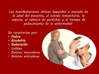 Se caracteriza por:
- Cefalea
- Dolores musculares
- Dolores articulares
Las manifestaciones clínicas dependen a menudo de
la edad del paciente, el estado inmunitario, la
especie, el número de parásitos y el tiempo de
padecimiento de la enfermedad.
 