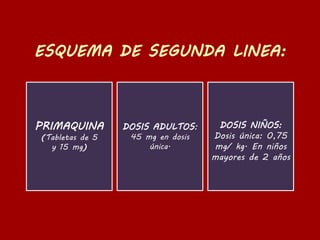 PRIMAQUINA
(Tabletas de 5
y 15 mg)
DOSIS ADULTOS:
45 mg en dosis
única.
DOSIS NIÑOS:
Dosis única: 0,75
mg/ kg. En niños
mayores de 2 años
 