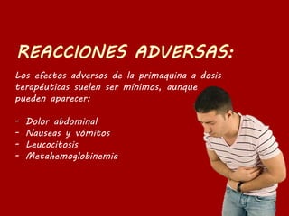 Los efectos adversos de la primaquina a dosis
terapéuticas suelen ser mínimos, aunque
pueden aparecer:
- Dolor abdominal
- Nauseas y vómitos
- Leucocitosis
- Metahemoglobinemia
 