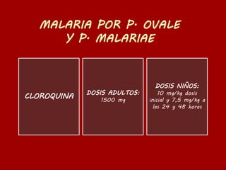 CLOROQUINA DOSIS ADULTOS:
1500 mg
DOSIS NIÑOS:
10 mg/kg dosis
inicial y 7,5 mg/kg a
las 24 y 48 horas
 