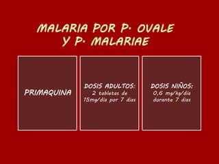 PRIMAQUINA
DOSIS ADULTOS:
2 tabletas de
15mg/día por 7 dias
DOSIS NIÑOS:
0,6 mg/kg/día
durante 7 dias
 