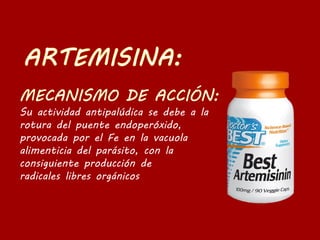 Su actividad antipalúdica se debe a la
rotura del puente endoperóxido,
provocada por el Fe en la vacuola
alimenticia del parásito, con la
consiguiente producción de
radicales libres orgánicos
 