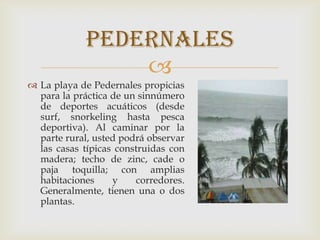 
 La playa de Pedernales propicias
para la práctica de un sinnúmero
de deportes acuáticos (desde
surf, snorkeling hasta pesca
deportiva). Al caminar por la
parte rural, usted podrá observar
las casas típicas construidas con
madera; techo de zinc, cade o
paja toquilla; con amplias
habitaciones y corredores.
Generalmente, tienen una o dos
plantas.
pedernales
 