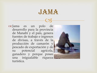 
 Jama es un polo de
desarrollo para la provincia
de Manabí y el país, genera
fuentes de trabajo e ingresos
de divisas, a través de la
producción de camarón y
pescado de exportación y de
su potencial agrícola,
ganadero y porque posee
una inigualable riqueza
turística.
jama
 