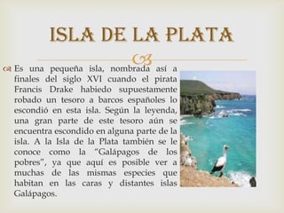  Es una pequeña isla, nombrada así a
finales del siglo XVI cuando el pirata
Francis Drake habiedo supuestamente
robado un tesoro a barcos españoles lo
escondió en esta isla. Según la leyenda,
una gran parte de este tesoro aún se
encuentra escondido en alguna parte de la
isla. A la Isla de la Plata también se le
conoce como la “Galápagos de los
pobres”, ya que aquí es posible ver a
muchas de las mismas especies que
habitan en las caras y distantes islas
Galápagos.
Isla de la plata
 