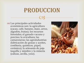 
 Las principales actividades
económicas son: la agricultura
(cacao, café, banano, maíz, arroz,
algodón, frutas); los recursos
forestales; el ganado vacuno y
porcino; la avicultura; las
camaroneras; las agroindustrias
(fabricación de grasas y aceites,
confitería, químicos, papel,
cerámica); la artesanía de paja
toquilla y mimbre y la minería
(calizas, arcilla, yeso).
produccion
 