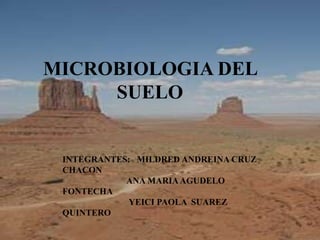 MICROBIOLOGIA DEL
     SUELO


 INTEGRANTES: MILDRED ANDREINA CRUZ
 CHACON
            ANA MARIA AGUDELO
 FONTECHA
            YEICI PAOLA SUAREZ
 QUINTERO
 