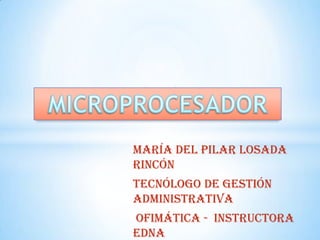 María del Pilar Losada
Rincón
Tecnólogo de Gestión
Administrativa
Ofimática - instructora
Edna
 