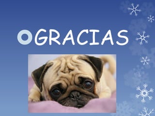 GRACIAS
 