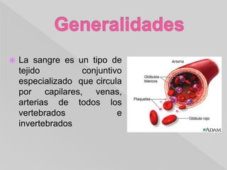  La sangre es un tipo de
tejido conjuntivo
especializado que circula
por capilares, venas,
arterias de todos los
vertebrados e
invertebrados
 