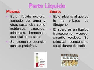 Plasma:
 Es un líquido incoloro,
formado por agua y
otras sustancias como
nutrientes, azucares,
minerales, hormonas,
especialmente sales
 Su elemento esencial
son las proteínas.
Suero:
 Es el plasma al que se
le ha privado de
fibrógeno.
 El suero es un líquido
transparente, viscoso,
amarillo verdoso. Su
principal componente
es el cloruro de sodio.
 
