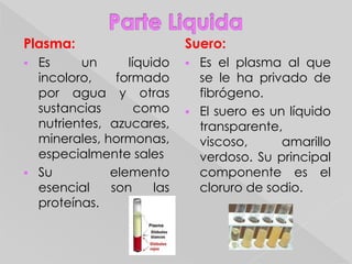 GeneralidadesLa sangre es un tipo de tejido conjuntivo especializado que circula por capilares, venas, arterias de todos los vertebrados e invertebrados